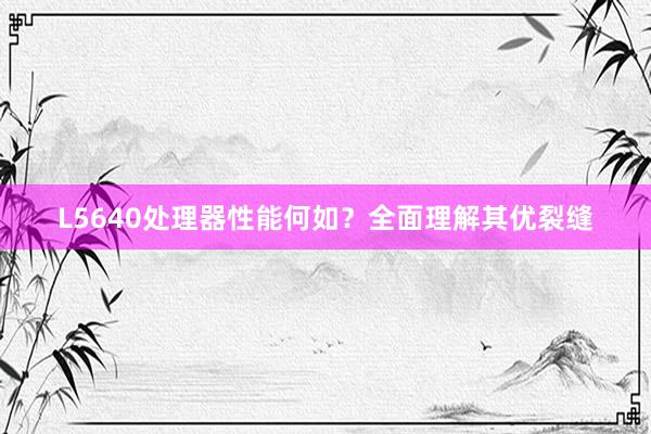 L5640处理器性能何如？全面理解其优裂缝