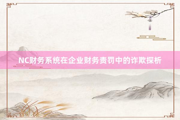 NC财务系统在企业财务责罚中的诈欺探析